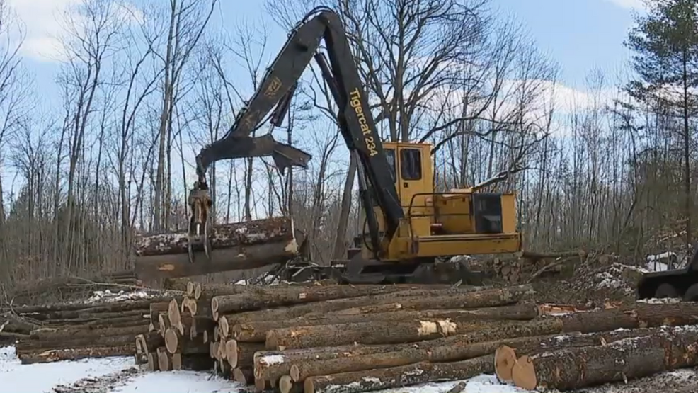 Logging in Maine (WGME)
