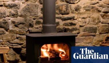 Wood-burning stoves to face partial ban in Labour’s updated environment plan | Environment