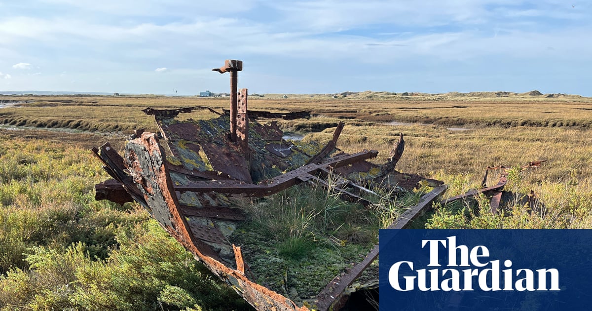 Country diary: A rusting shipwreck that’s part of the family | Environment