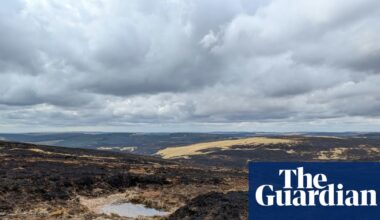 Heat, drought and fire: how extreme weather pushed nature to its limits in 2025 | Climate crisis