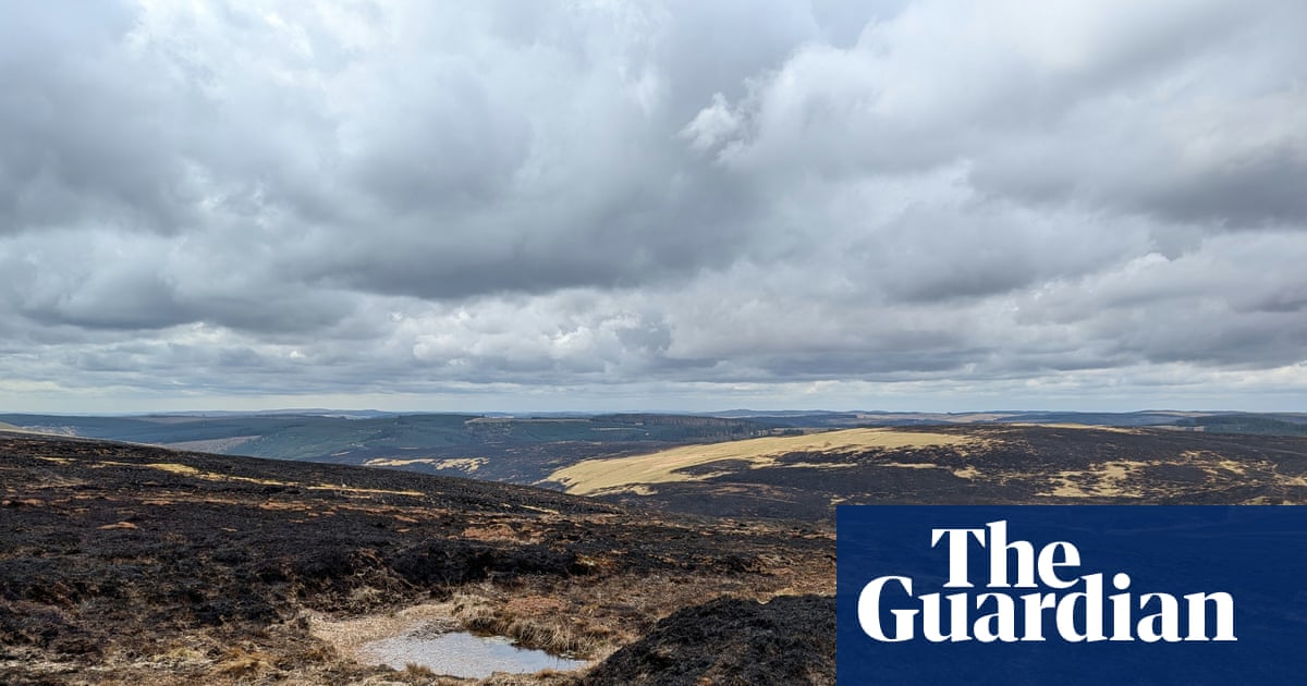 Heat, drought and fire: how extreme weather pushed nature to its limits in 2025 | Climate crisis