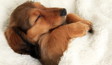 Yahoo lifestyle home