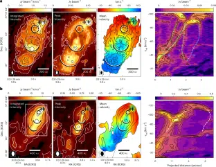 41550 2025 2716 Fig1 Html