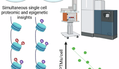 Simultaneous single-cell proteomics and epigenetic analysis of histone deacetylase inhibition in human cells