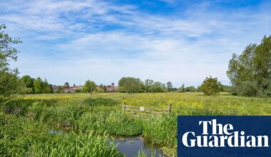 Nature recovery plan in England hit by clause allowing contracts to end with a year’s notice | Conservation