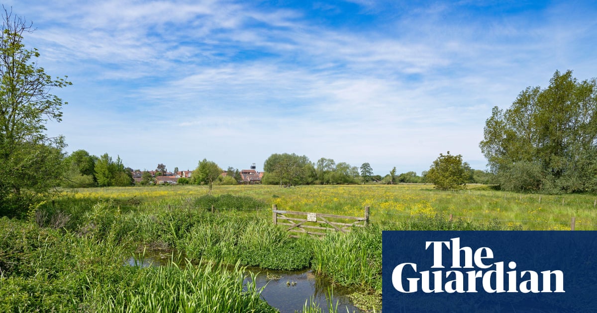 Nature recovery plan in England hit by clause allowing contracts to end with a year’s notice | Conservation