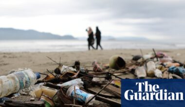 Reuse and return schemes could help eliminate plastic waste in 15 years – report | Plastics