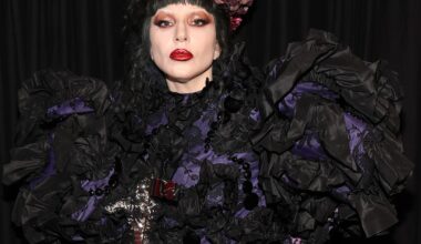 Lady Gaga Stops Concert After Dancer Falls