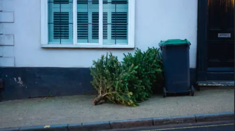 Getty Images A Christmas tree lies outside a white house next to a recycling bin