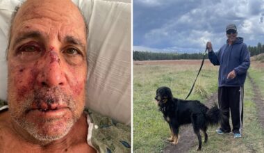 Top stories of the day