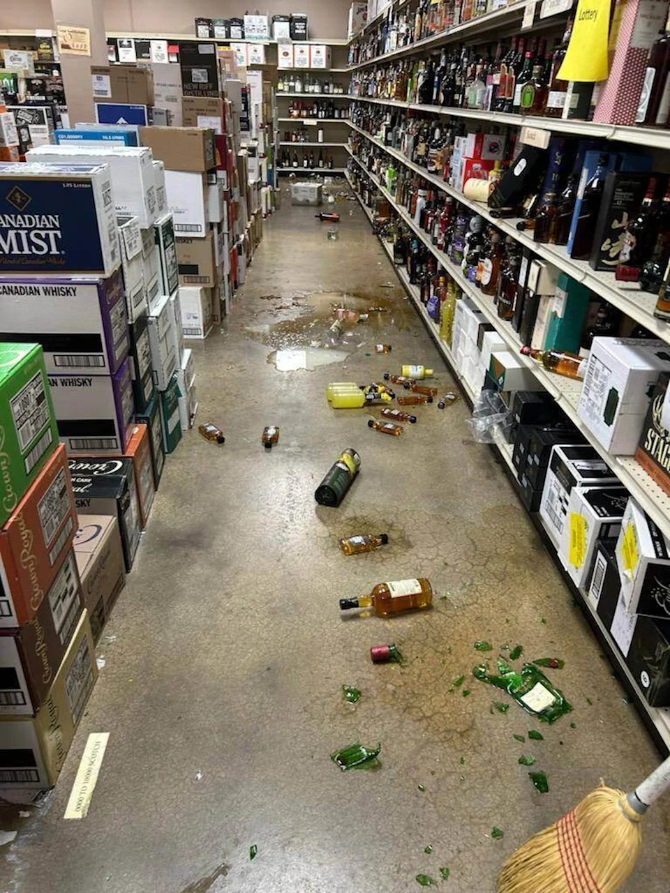 The wild raccoon knocked over dozens of bottles of alcohol during his mid-night rampage through the store