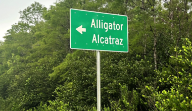Fort Myers federal judge asked to inspect Alligator Alcatraz conditions | WINK Listens