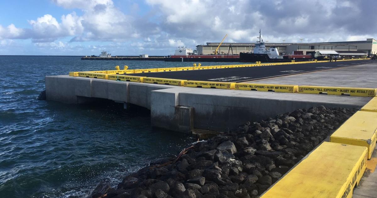 Another skunk caught at Hilo Harbor in November | News