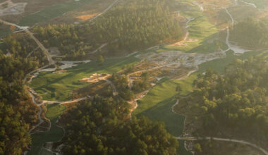 First Reactions to Wild Spring Dunes in Texas