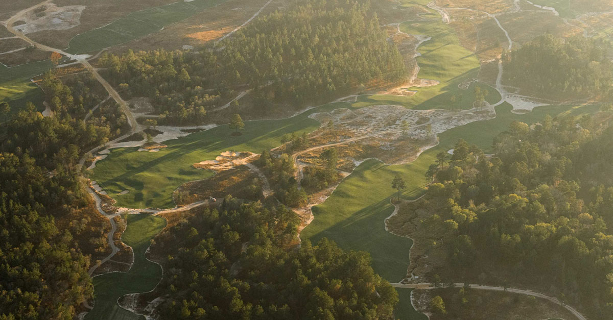 First Reactions to Wild Spring Dunes in Texas