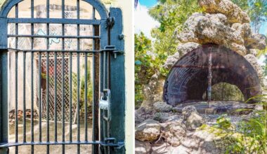 I Explored an Abandoned Florida Zoo Overrun by Nature: Crandon Park