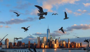 US Economy, Stock Market Are 2 Problems Keeping Steve Hanke up at Night