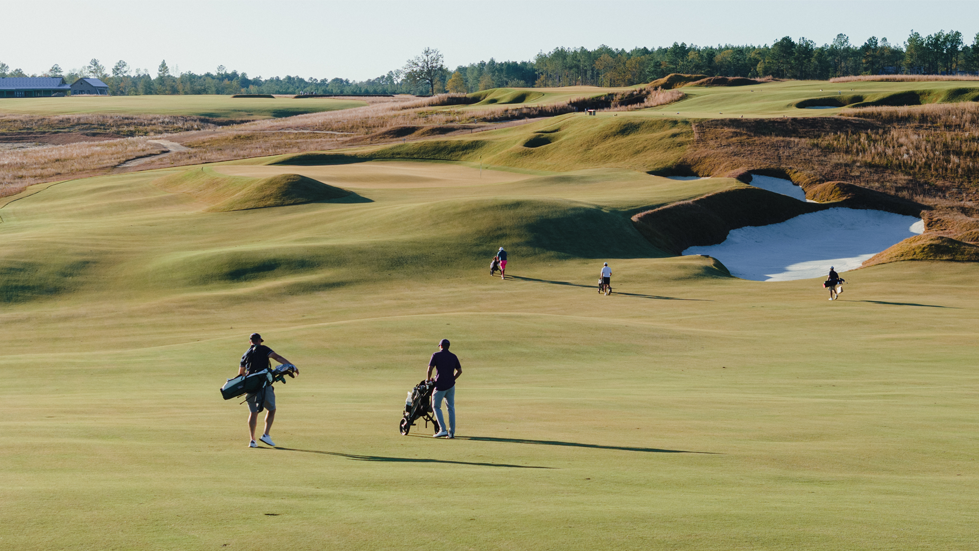 barnwell.hangout.newsletter