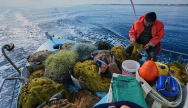 Fisherman Photis Gaitanos collected fish from nets off the coast of Larnaca, Cyprus, in the eastern Mediterranean, on Dec. 20.