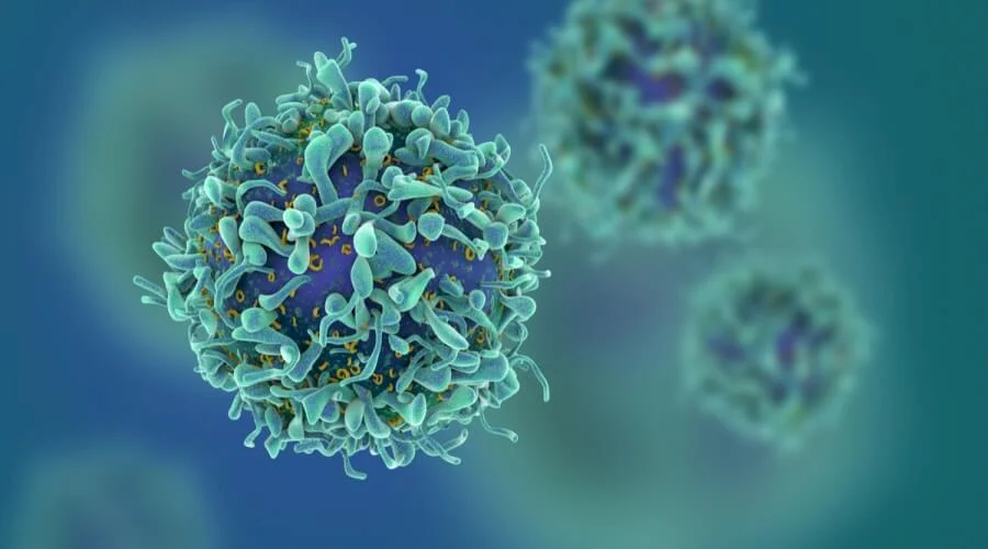 Nutritional Elements That Can Increase Cancer Risk