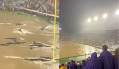 The viral LSU alligator video (Photo: Facebook/@ Baton Rouge Breaking News)