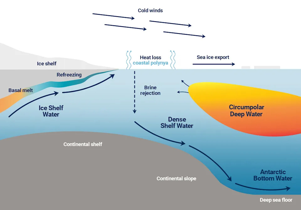 A diagram showing how Antarctic Bottom Water is formed.