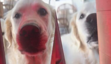 Yahoo lifestyle home