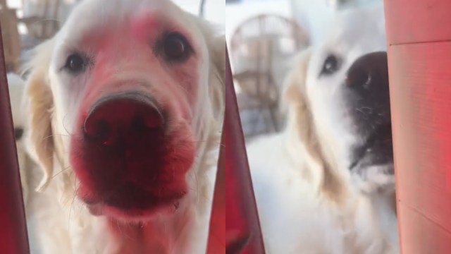 Yahoo lifestyle home