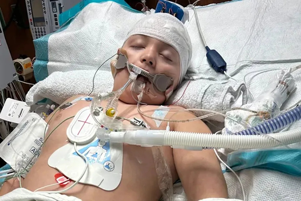 gofundme Jace Watkins