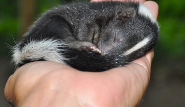 Yahoo lifestyle home