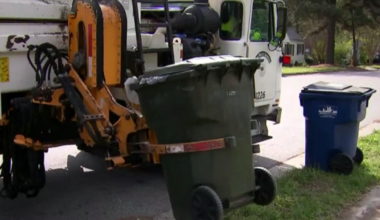 Where, how to recycle Christmas items like trees, decorations in your county :: WRAL.com