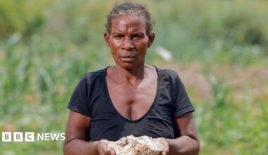 A photo portrait of Mary, a Zambian farmer. She stands in the centre of the frame looking pensive and holding up a large lump of white contaminated crop soil, with both hands. There is greenery behind her and she wear a black top and patterned skirt.