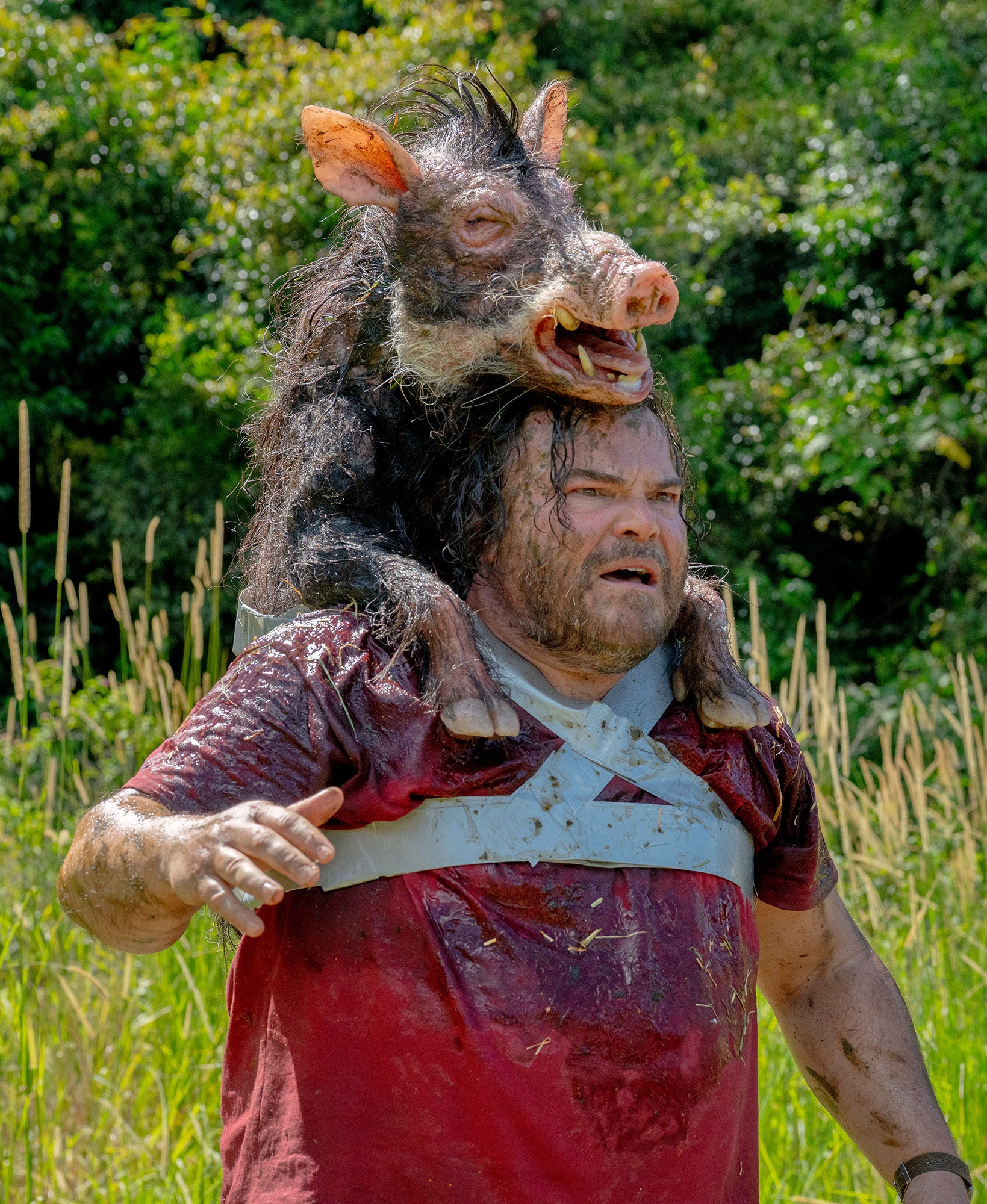Flogging a dead boar: Jack Black in the (probable) hit comedy ‘Anaconda’