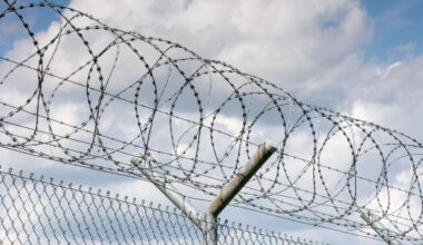 U.P. prison surprised by agile, furry guest that jumped through barbed wire