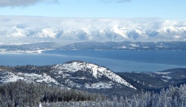 Blacktail Mountain thinning project approved over endangered species concerns