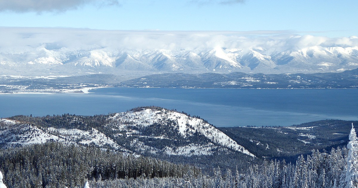 Blacktail Mountain thinning project approved over endangered species concerns