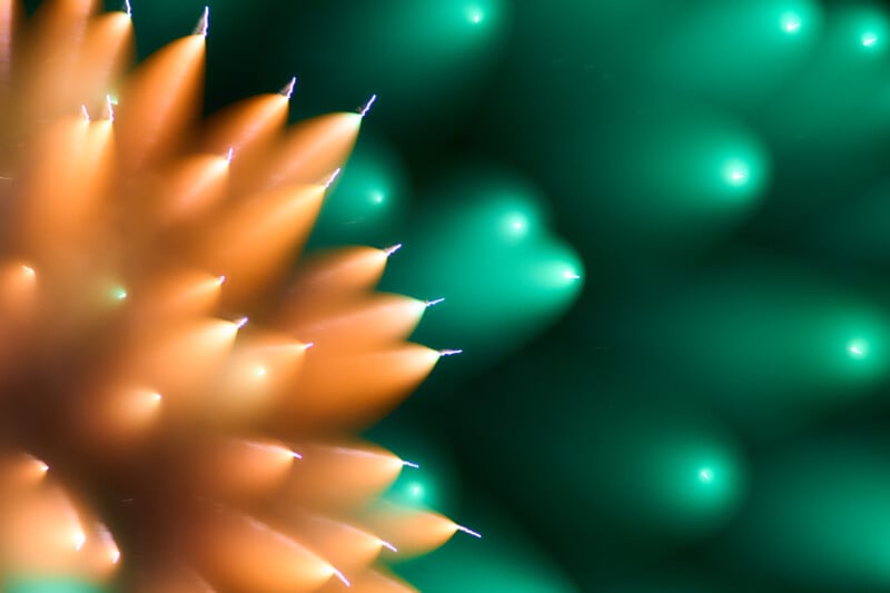 Close-up of an orange, spiky object on the left side, with a soft green and teal background featuring glowing, heart-shaped patterns. The image is abstract and visually vibrant.