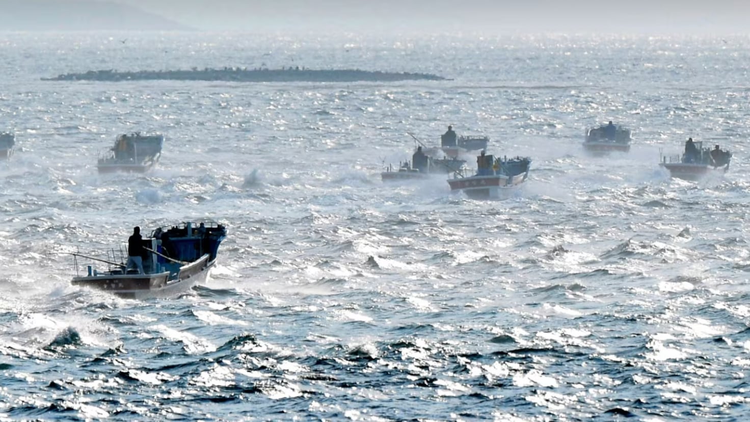 Scientists alarmed by dramatic changes in the ocean near Japan: “I don’t even know if ‘surprised’ is the right word”