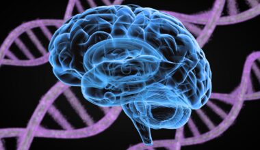 14 Psychiatric Disorders Share 5 Genetic Roots, Major Study Reveals : ScienceAlert