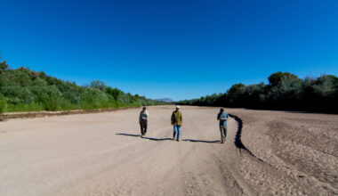 Representatives from Audubon Southwest collect data along the dry Rio Grande at Bosque del Apache National Wildlife Refuge in San Antonio, N.M. Credit: Paul Tashjian