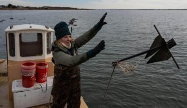 Inside the unexpected second acts of WNBA stars