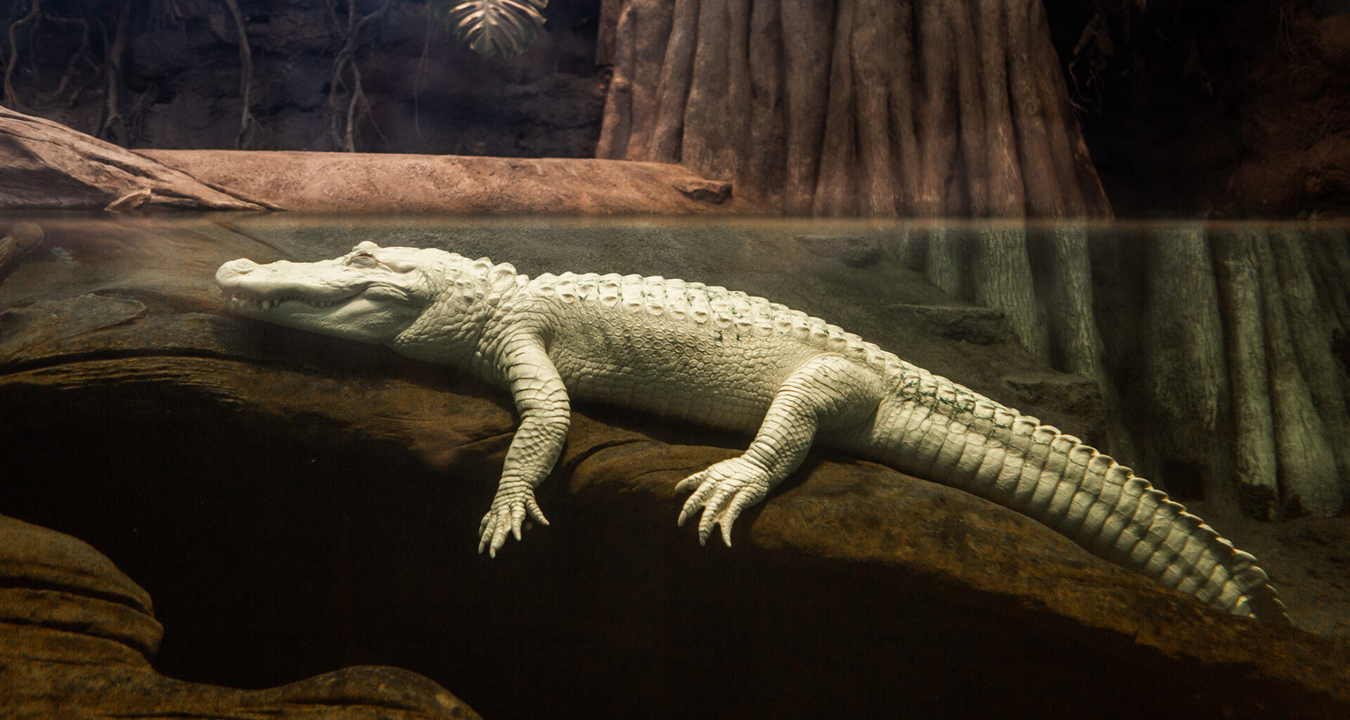 Which street will S.F. name for Claude? Vote here in the official poll.