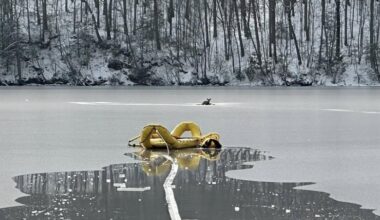 Look: Connecticut firefighters rescue deer stranded on frozen lake