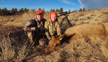 Cowboy State Daily logo