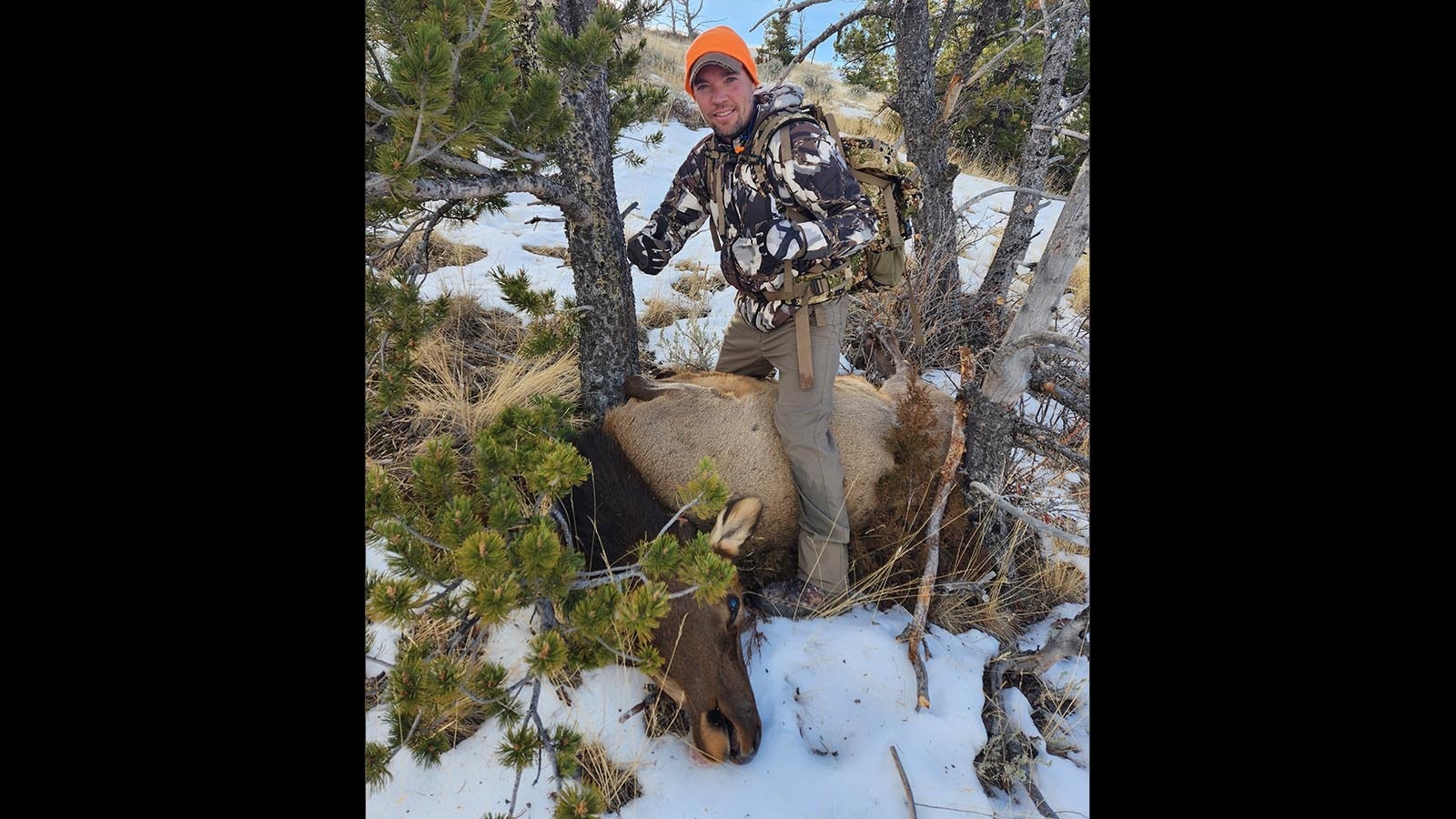 Ben McArthur of Casper likes filling his family’s freezer with elk meat from late-season cow elk tags.