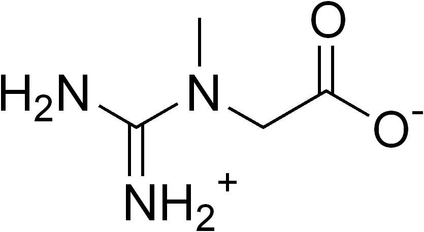 Creatine chemical structure 