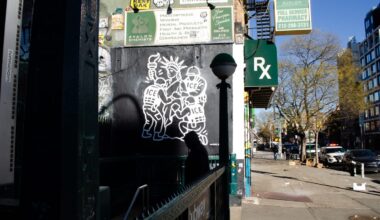 New York Graffiti Shows ICE Arresting the Statue of Liberty