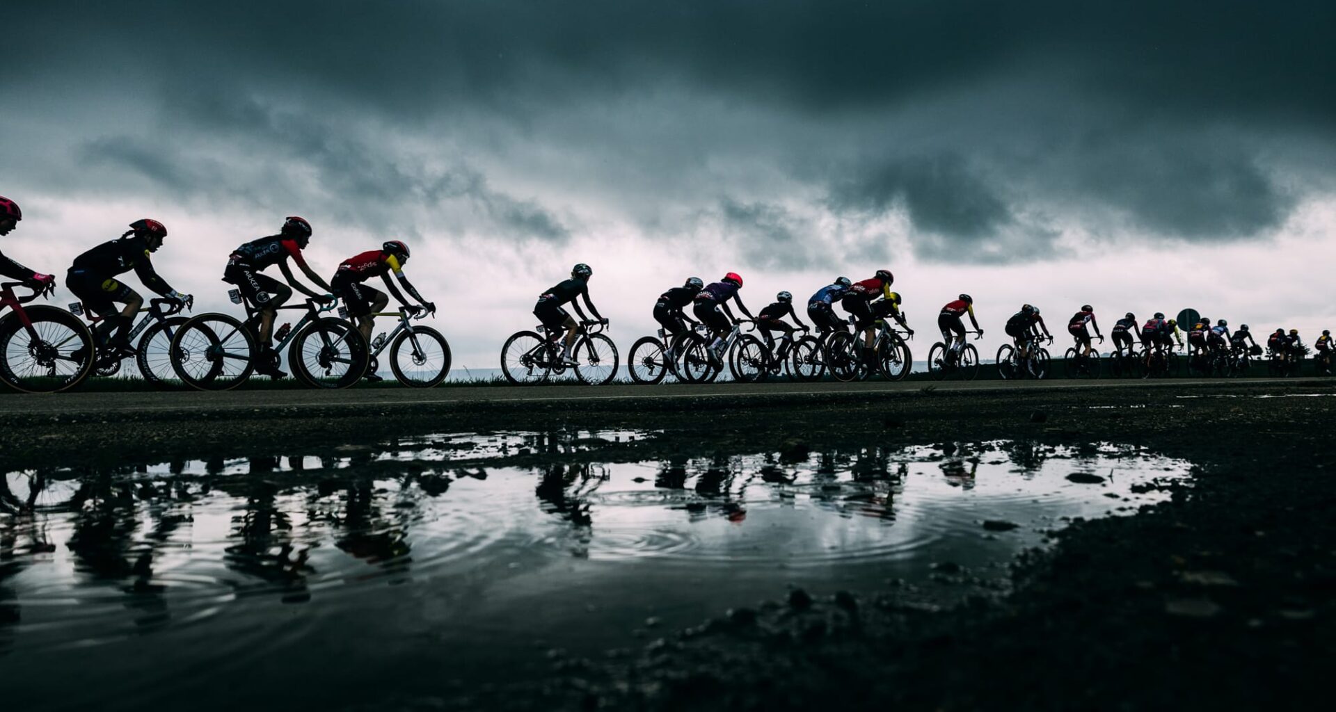 Mark Gunter Photo Awards: Week three showcase