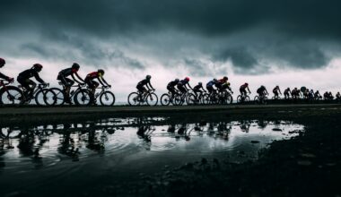 Mark Gunter Photo Awards: Week three showcase