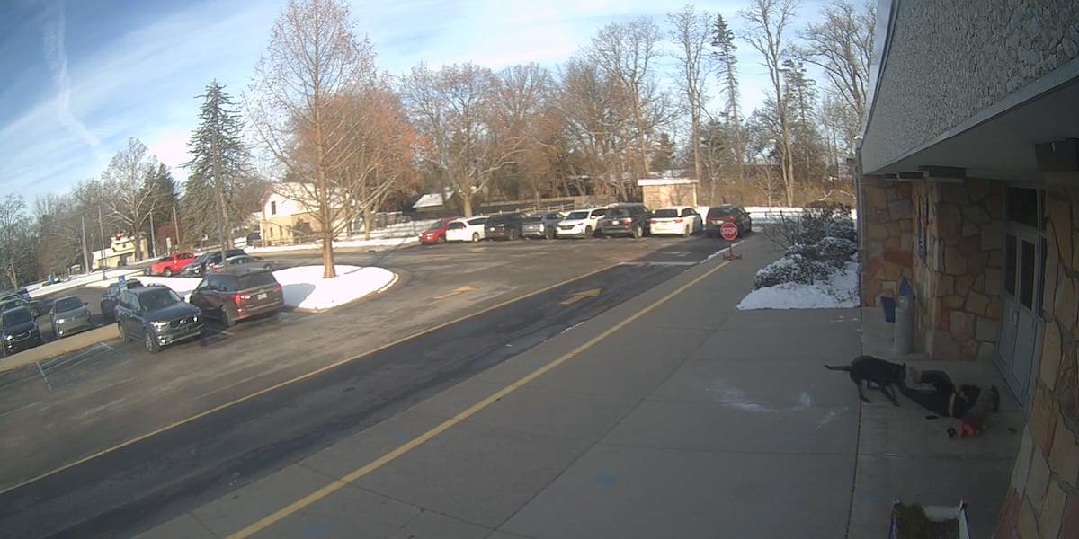 Top stories of the day